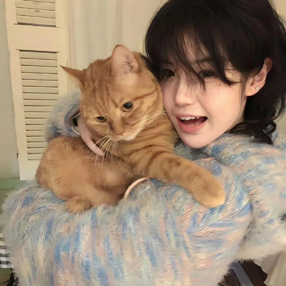 百分百感觉粤语